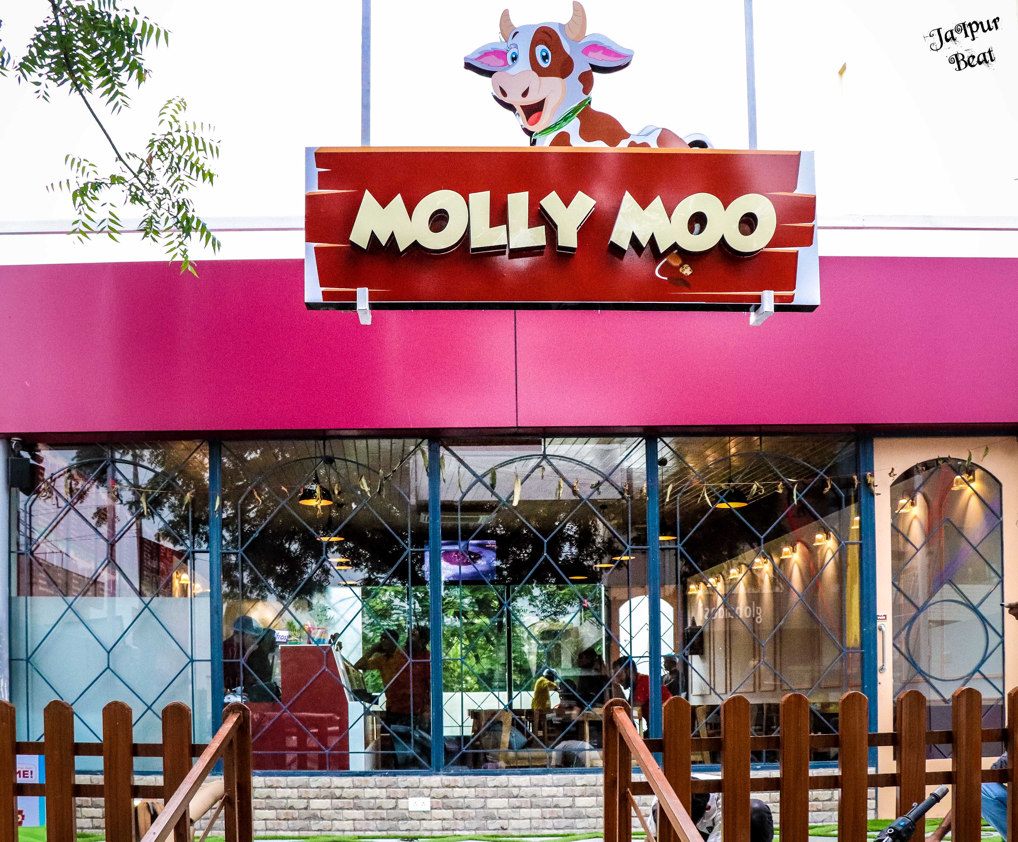 Molly Moo